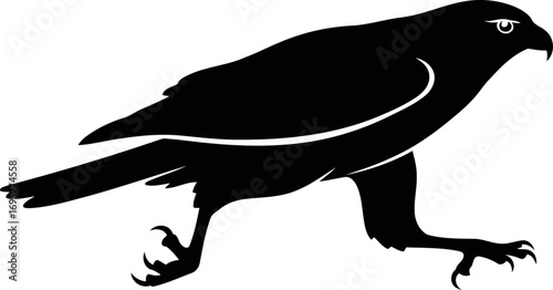 majestic falcon silhouette a bird of prey poised for flight, hunting in the wild, isolated on transparent background