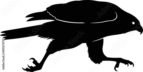 majestic hawk silhouette a symbol of predatory power and aerial grace in flight, isolated on transparent background