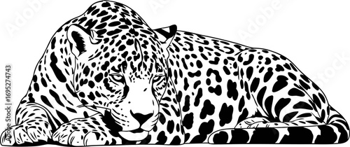 majestic jaguars silent slumber a serene silhouette of untamed elegance, isolated on transparent background