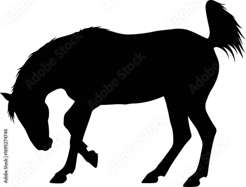 majestic horse silhouette a icon of gentle strength and timeless grace, isolated on transparent background
