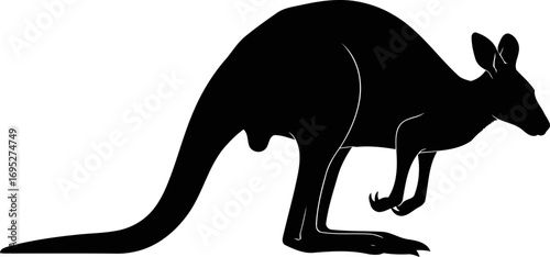majestic kangaroo silhouette a icon of aussie outback spirit, powerful hops, and boundless freedom, isolated on transparent background