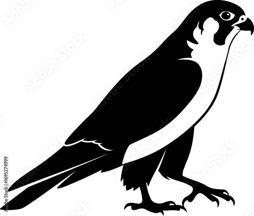 majestic peregrine falcon silhouette a masterpiece of avian elegance and power, isolated on transparent background