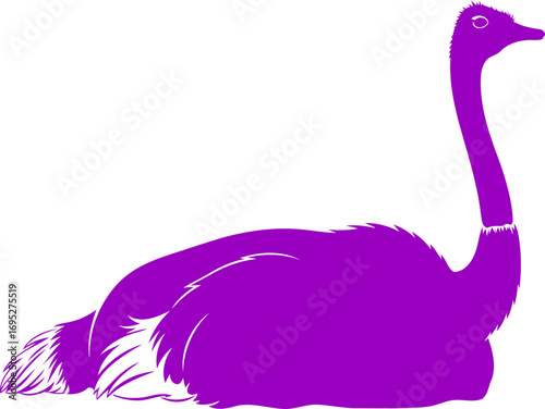 majestic purple ostrich silhouette a graphic of serene avian grandeur, peaceful posture, and tranquil design, isolated on transparent background