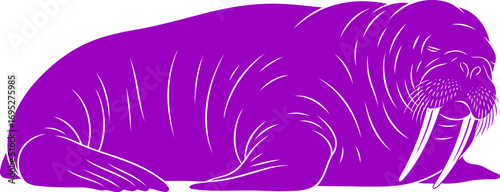 majestic purple walrus silhouette a serene giant of the arctic, oceans gentle soul, isolated on transparent background