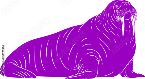 majestic purple walrus silhouette a icon of arctic majesty and gentle giants, isolated on transparent background