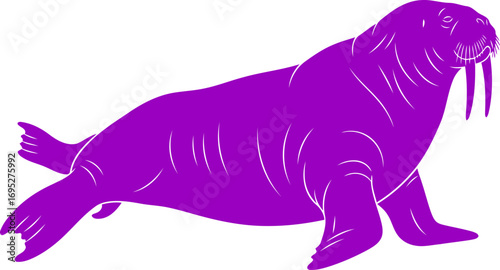 majestic purple walrus silhouette a art of arctic majesty and gentle dignity, isolated on transparent background