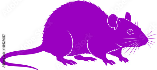 mysterious purple rat silhouette a nighttime prowlers shadowy elegance and urban mystery, isolated on transparent background