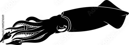 oceans ink silhouette a squids midnight flight, dark elegance, mysterious depth, art, isolated on transparent background