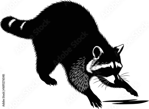 playful raccoon silhouette a nighttime foray into natures secrets, isolated on transparent background