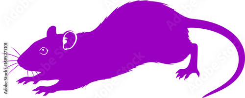 purple rat silhouette a night prowlers stealthy prowess, isolated on transparent background