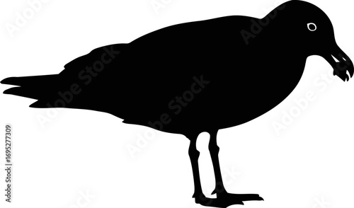 seagull silhouette coastal bird icon, ocean breeze, and salty air, isolated on transparent background
