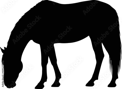serene black horse silhouette a peaceful pasture, emblem of tranquility and rural serenity, isolated on transparent background