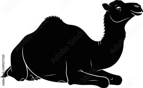 serene desert camel silhouette a emblem of patience and desert wisdom, isolated on transparent background