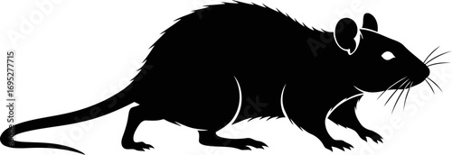 silhouette of a black rat a nocturnal emblem of urban mystery and stealth, isolated on transparent background