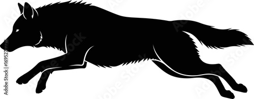 silhouette of a bounding black wolf night hunters graceful sprint, isolated on transparent background