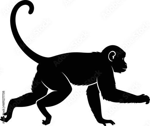 silhouette of a capuchin monkey agile, playful, and full of tropical life, isolated on transparent background