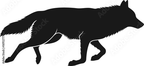 silhouette of a lone wolf running majestic wilderness, night prowl, and untamed freedom, isolated on transparent background
