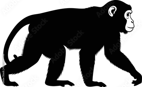 silhouette of a monkey calmly walking a illustration of primate elegance, isolated on transparent background