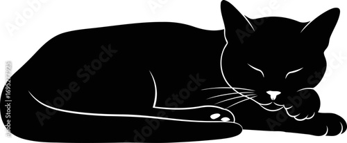 sleeping black cat silhouette peaceful night, dreamy paws, feline rest, isolated on transparent background