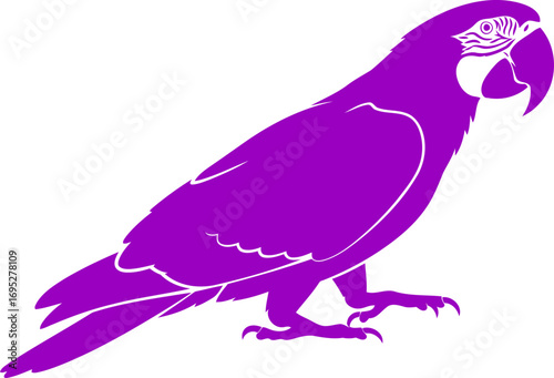 vibrant purple macaw silhouette a tropical jewel of art, isolated on transparent background