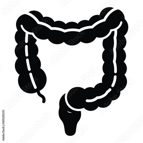 Art of human colon anatomy isolated on white background for medical and healthcare purposes