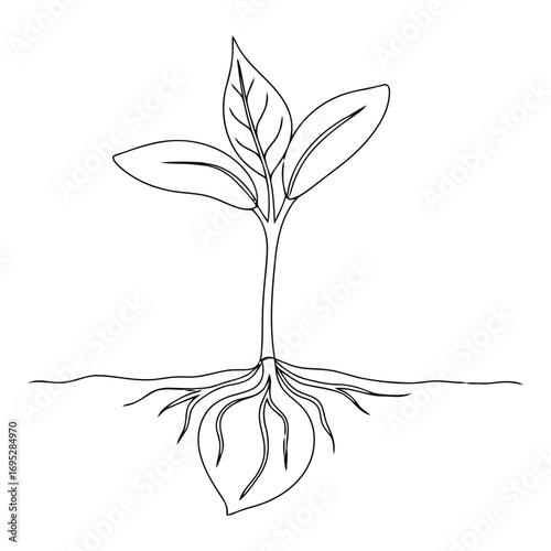 Art of minimalist line art of a plant growing from the soil isolated on white background, symbolizing growth, nature, and new beginnings