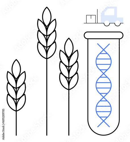 Wheat ears and test tube with DNA strand emphasize biotechnology in agriculture. Ideal for science, GMO, innovation, sustainability, food security, farming, research themes. Simple flat metaphor