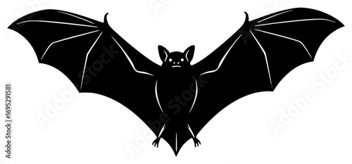 Silhouette of a bat in flight with outstretched wings