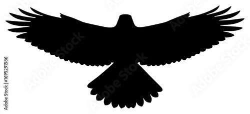 Silhouette of a soaring bird in flight against a white background