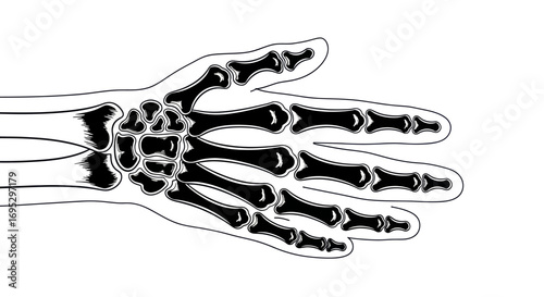 Anatomical illustration showcasing human hand bones with distinct lines and sharp contrasts
