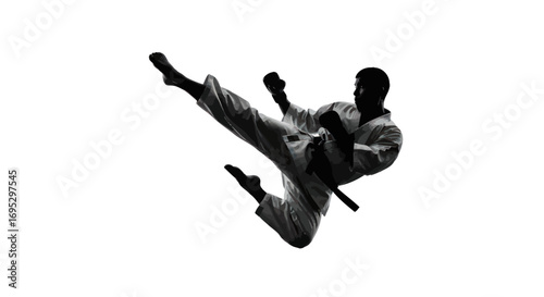 Dynamic silhouette of martial artist executing a flying kick with precision and strength