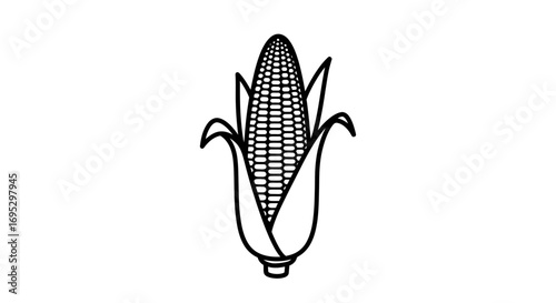 corn illustration simple maize design, agriculture, farming, nature, food, vegetable, drawing, sketch, black and white, line art