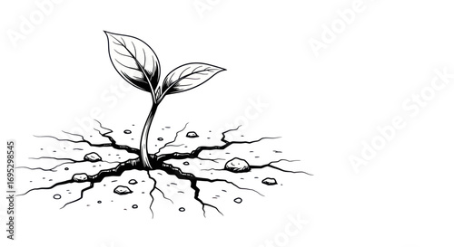 Resilience depicted: A tiny plant pushing through cracked earth in a stark black and white line