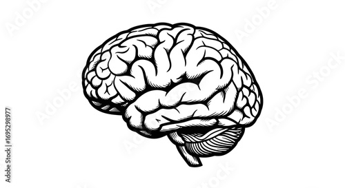 Striking monochrome illustration showcasing the human brain intricate and detailed design
