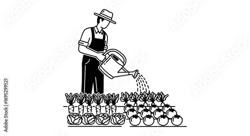 farmer watering vegetables in garden carrots, tomatoes, and cabbage agriculture, farming, healthy food concept