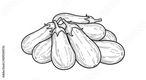 handdrawn illustration of eggplants, fresh vegetables, detailed sketch, organic food, healthy eating, culinary art, vintage style, botanical illustration, eggplant drawing