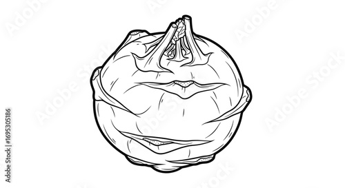 kohlrabi illustration, handdrawn vegetable, black and white line art, botanical drawing, detailed kohlrabi sketch, fresh food, healthy eating, kitchen ingredient