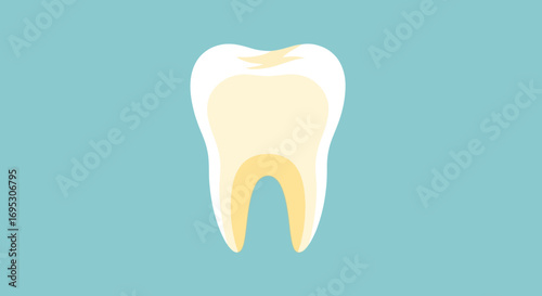 An illustrative representation of a single healthy tooth with a slight yellow hue, set against a solid light blue background
