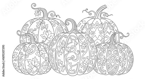 ornate pumpkins autumn harvest, thanksgiving, fall, halloween, decorative gourds, coloring page design