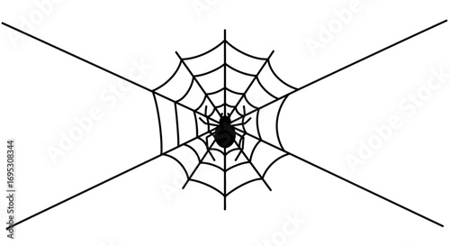 A black spider sits in the center of its web, spun neatly between two walls in a corner.