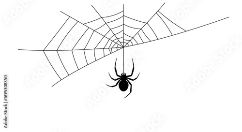 A black spider hangs from a single silk thread below its intricate, symmetrical spiderweb.