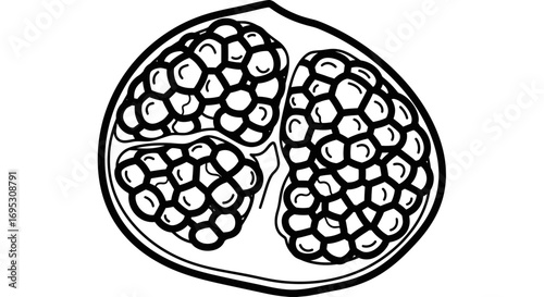 pomegranate cross section, seeds, fruit, graphic, black and white, illustration, nature, food, healthy, drawing, sketch
