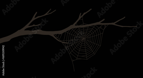 An intricate spiderweb hangs from a bare tree branch against a dark, minimalist background.