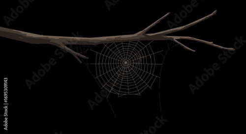 A spider web with a small spider in its center hanging from a dark tree branch against a black background.