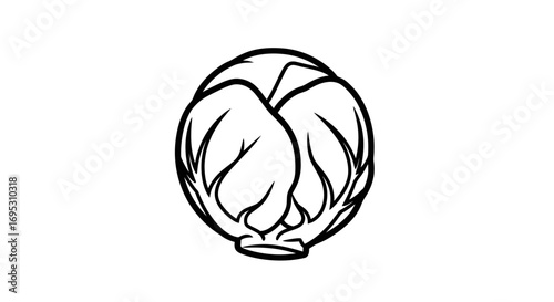 simple cabbage illustration, black and white line art, fresh vegetable graphic, vegan food design, botanical print