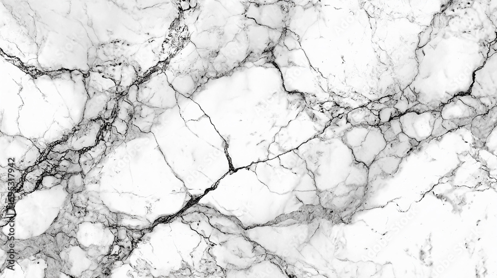 Obraz premium Premium white marble slab featuring beautiful organic gray and black veining, an abstract surface