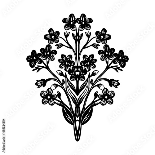 A vintage style illustration showing myosotis