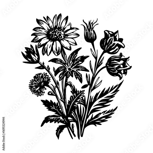 A vintage style illustration showing vintage herbarium
