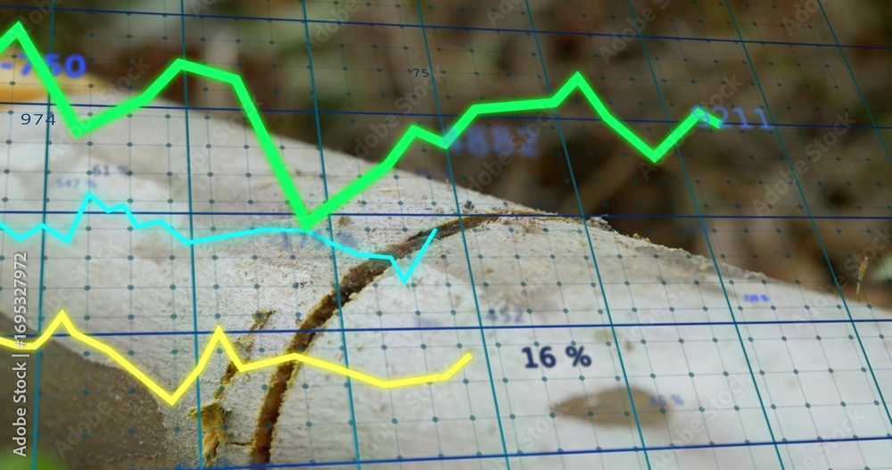 Fototapeta premium Tree trunk cross-section featuring growth rings and crack in forest, with blue grid and data charts