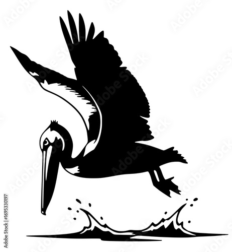Silhouette of a pelican landing on waves with splash